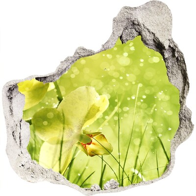 Hole wall sticker Orchid