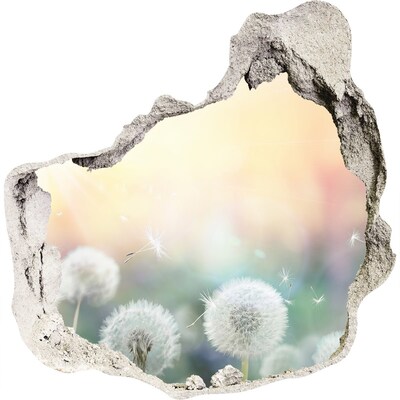 Hole wall sticker The floral world behind the hole