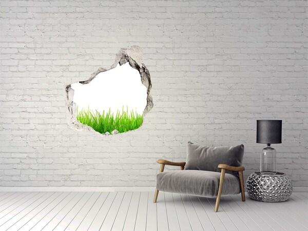 3D wall hole wallpaper A green meadow behind the wall