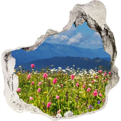 Hole in the wall decal Meadow in the mountains