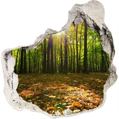 Hole in the wall decal A forest oasis in the sunshine