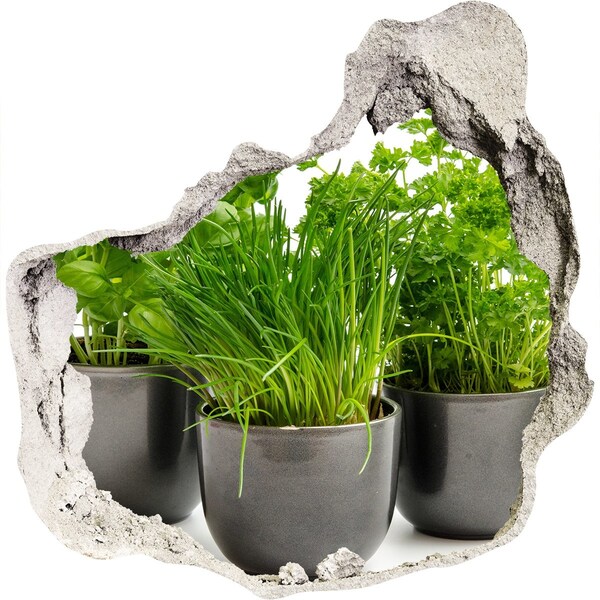 Hole in the wall decal Herbs in pots