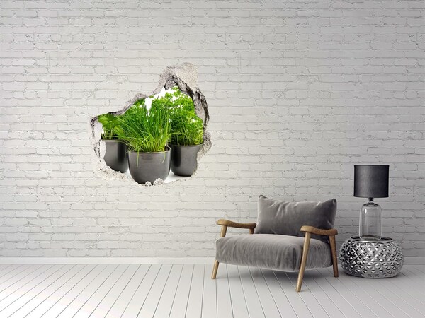 Hole in the wall decal Herbs in pots