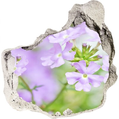 3D wall hole Verbena