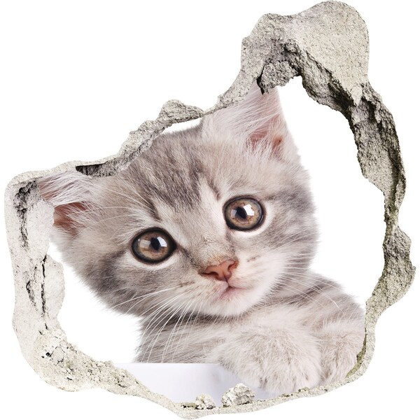 Hole wall sticker Kitten in a hole in the wall