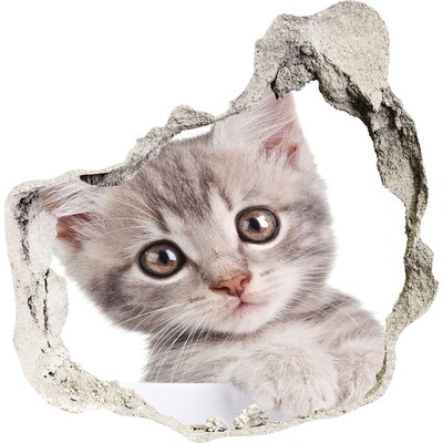 Hole wall sticker Gray cat