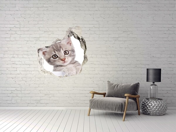 Hole wall sticker Kitten in a hole in the wall
