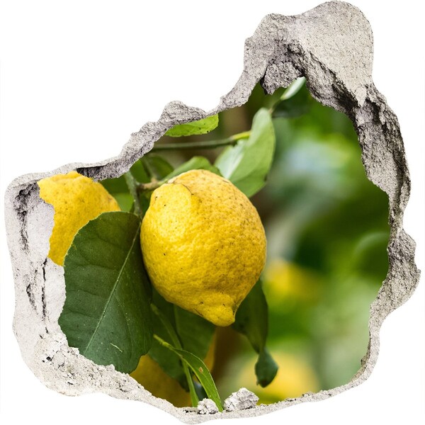 3D wall hole Lemons on a tree