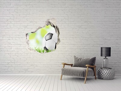 3D wall hole Football