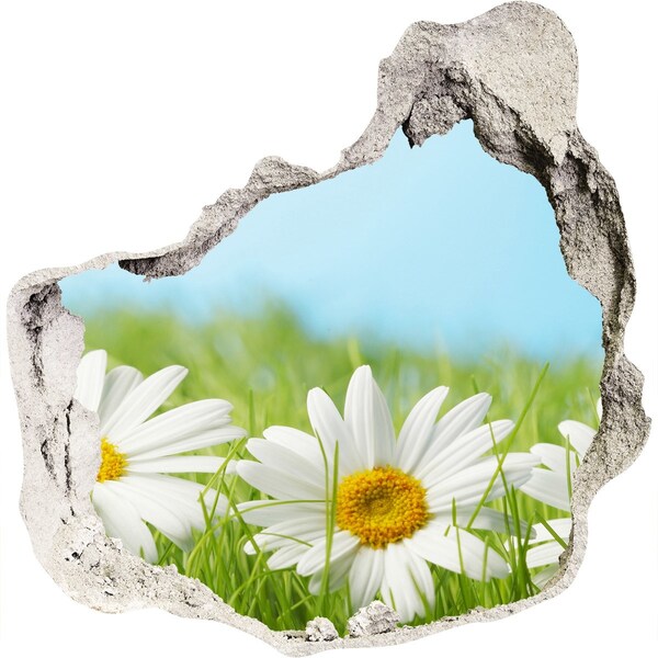 Hole wall sticker Flowers in a green meadow