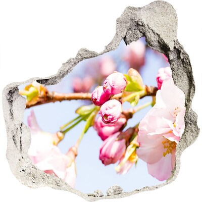 Hole in the wall decal Cherry blossoms in spring