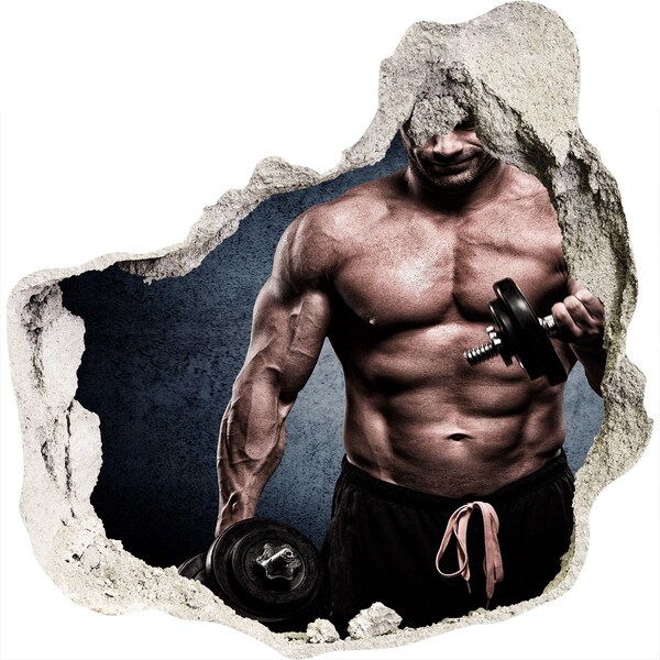 Hole in the wall sticker Muscle structure