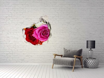 Hole in the wall decal Colorful roses