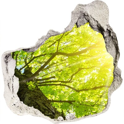 3D wall hole wallpaper Green forest in the sun's rays