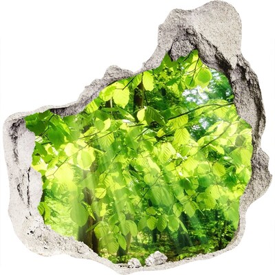 Hole in the wall decal Green forest in the sun's rays