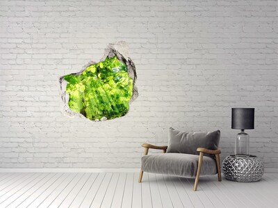 Hole in the wall decal Green forest in the sun's rays