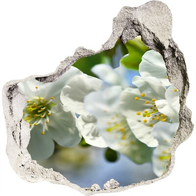 Hole in the wall sticker Cherry Blossom