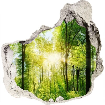 Hole in the wall sticker Green forest with sun rays