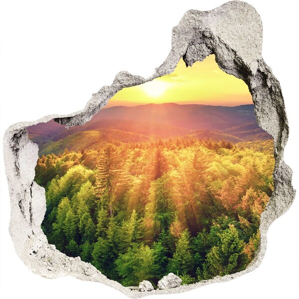 Hole wall sticker Golden rays of sunshine in the forest