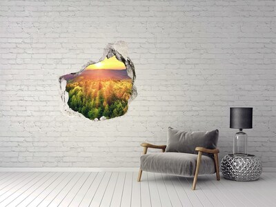 Hole wall sticker Golden rays of sunshine in the forest