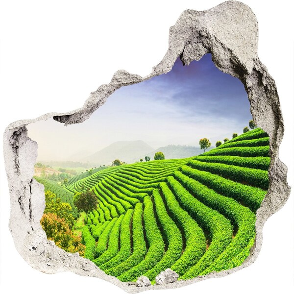 Hole in the wall decal Green tea terraces
