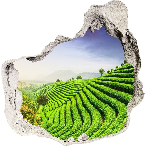 Hole in the wall decal Tea plantation