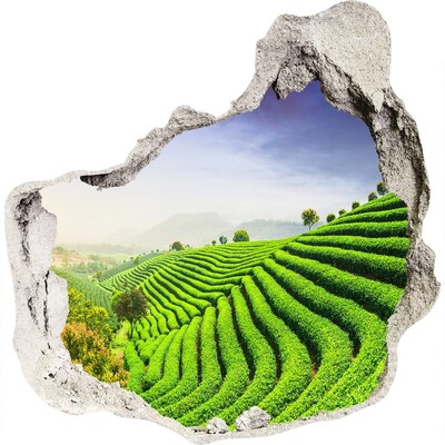 Hole in the wall decal Green tea terraces