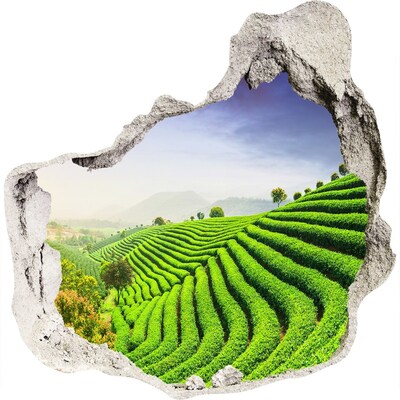 Hole in the wall decal Tea plantation