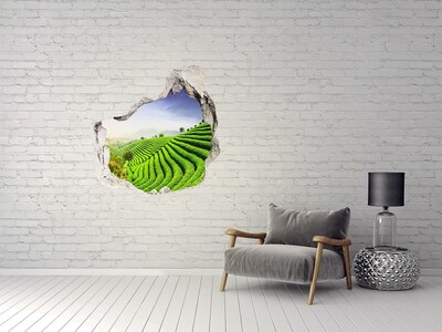 Hole in the wall decal Green tea terraces