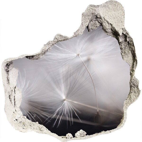 Hole wall sticker Dandelions in concrete