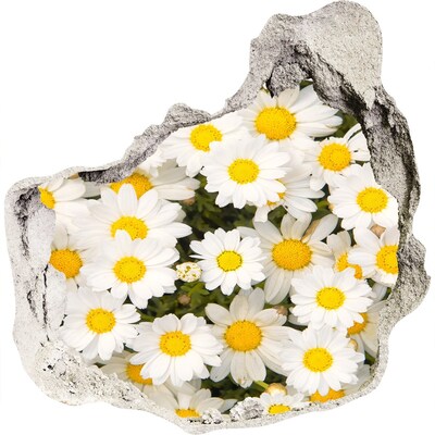 3D wall hole Daisy