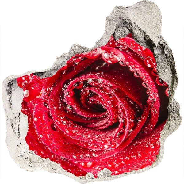 Hole in the wall sticker Rose with water drops