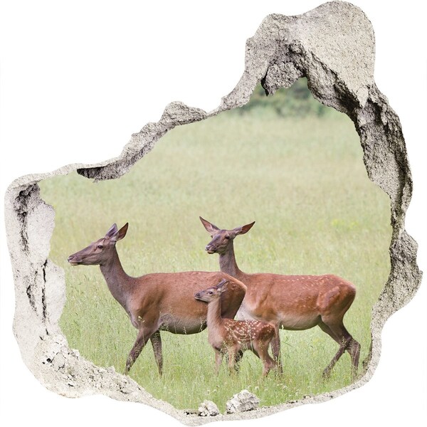 Hole in the wall sticker A roe deer and her young in the wild