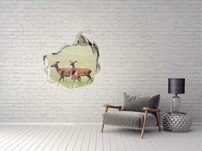 Hole in the wall sticker Deer with young