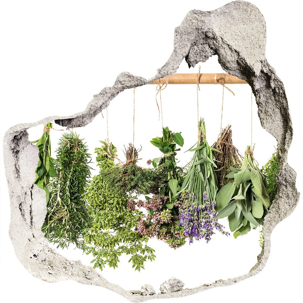 Hole in the wall sticker Herbs on a string