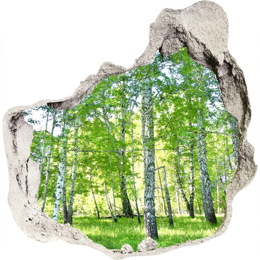 Hole in the wall decal Birch