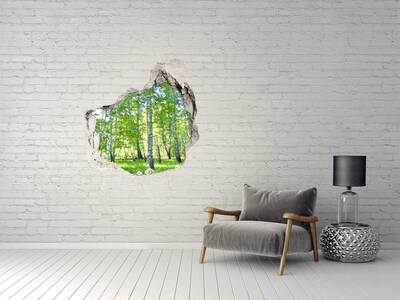 Hole in the wall decal Birch