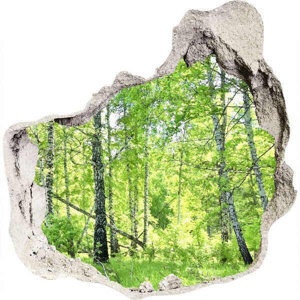 3D wall hole Birch forest