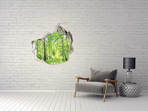 3D wall hole Green forest in the sunlight