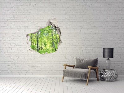 3D wall hole Green forest in the sunlight