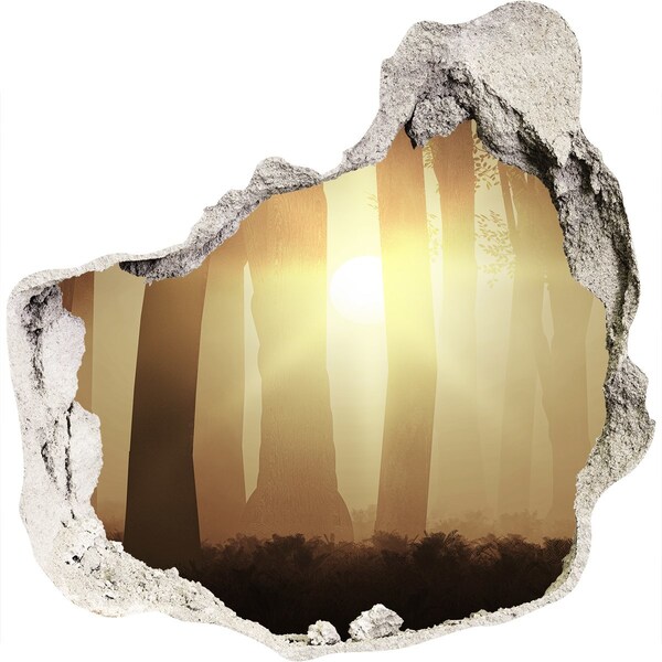 Hole wall sticker Golden morning in the forest