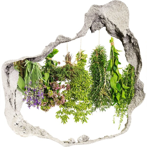 Hole wall sticker Green oasis with herbs