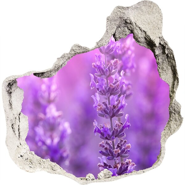 3D wall hole Lavender flowers in the morning light