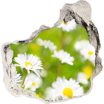 3D wall hole Daisy