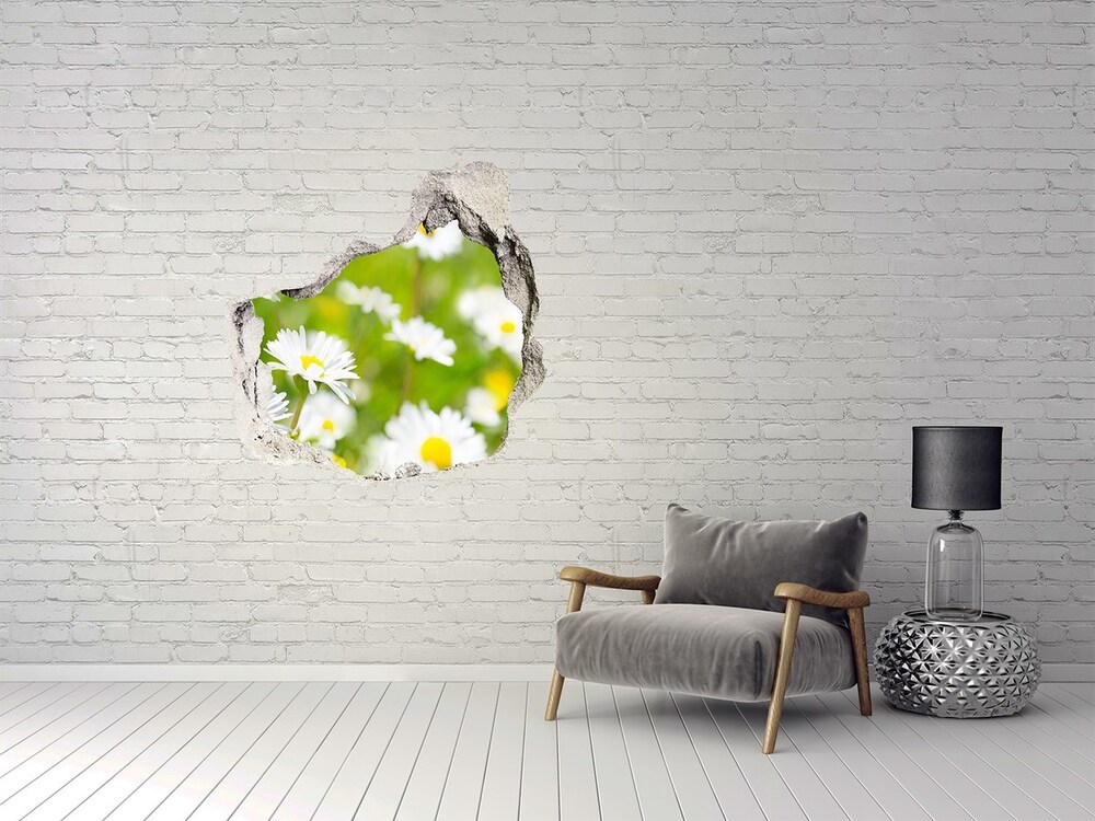 3D wall hole Daisy