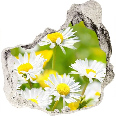 Hole wall sticker Daisy