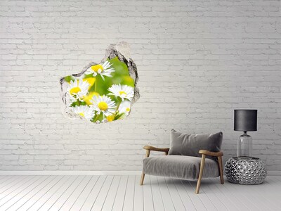 Hole wall sticker Daisy