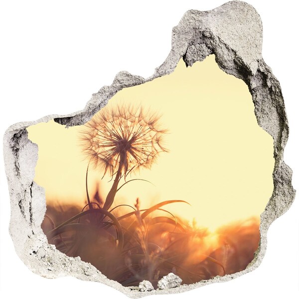 Hole in the wall sticker A flower in the sun's rays