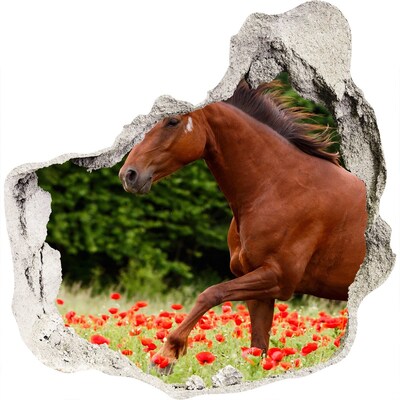 Hole in the wall sticker A horse in the field of poppies