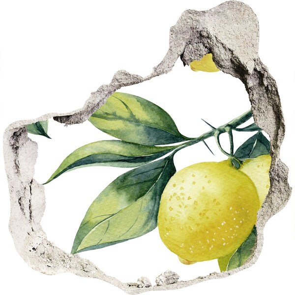 3D wall hole Lemon garden